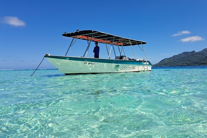 Private Marine Excursion and snorkeling in the lagoon of Moorea