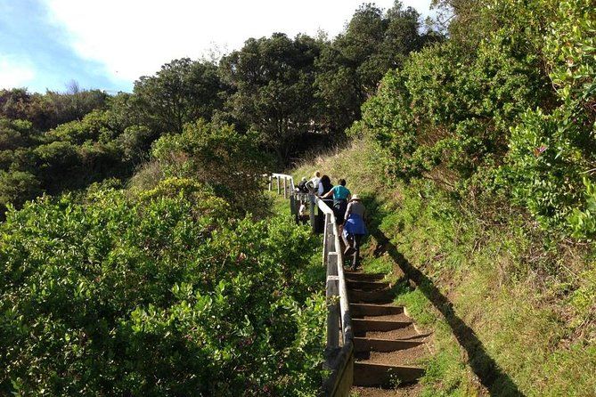 Waiheke Island Private Guided Te Ara Hura Walk
