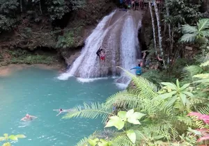 Island Gully Falls And Columbus Park Day Adventure