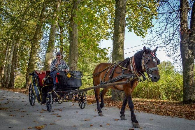 Private Horse-Drawn Carriage Ride to Vrelo Bosne