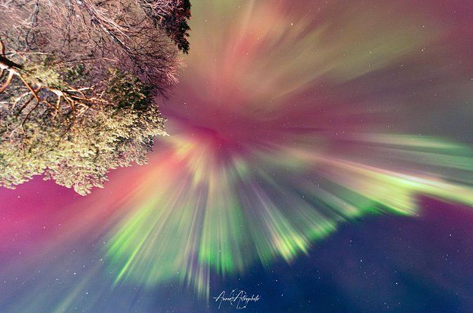 Rovaniemi: 100% Guaranteed Aurora & Photography Tour