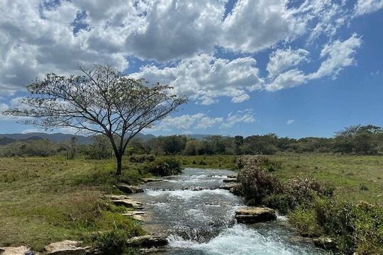 Rastasafari Experience in an ATV from Montego Bay with Lunch