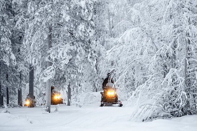 3-Hour Snowmobile Adventure in Rovaniemi (Private)