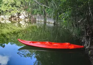Expeditions of Cenotes in Puerto Morelos