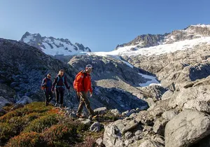 Whistler Guided Day Hiking