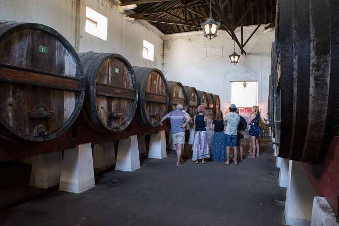 From Lisbon: Family Winery Tour, Historic Cellars & Wine Tasting