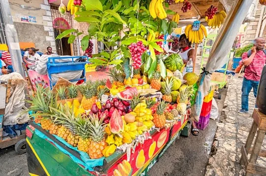 Private Montego Bay City Tour with Sightseeing and Shopping
