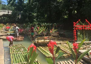 Private River Rafting with Limestone Massage & ATV at Montego Bay