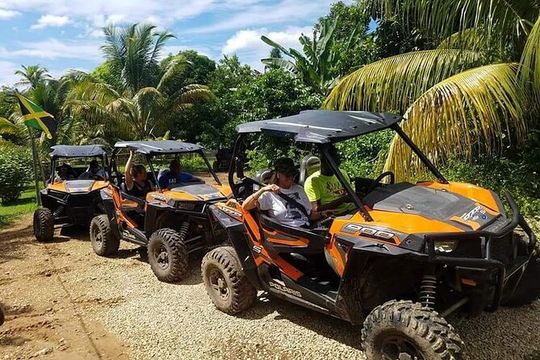 Rastasafari Experience ATV Tour