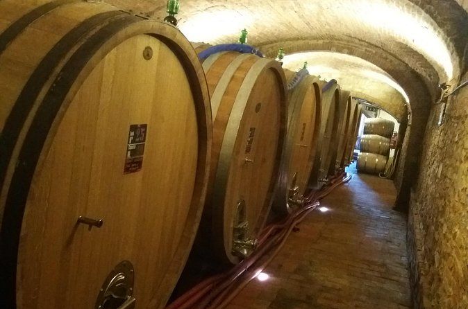 A Journey Across Tuscany’s History, Olive Oil Heritage and Beauty
