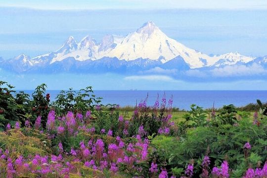 Private Transfer, Seward Cruise ship to Anchorage