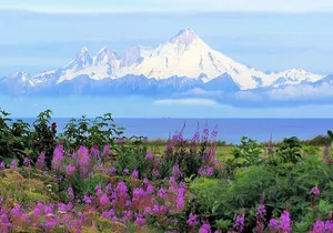 Private Transfer, Seward Cruise ship to Anchorage