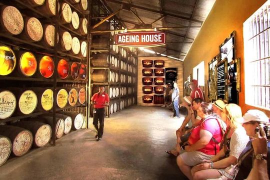 YS Falls & Appleton Rum Estate Combo from Montego Bay