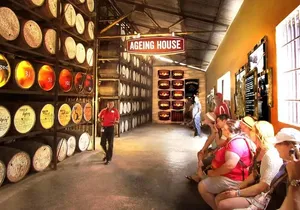 YS Falls & Appleton Rum Estate Combo from Montego Bay