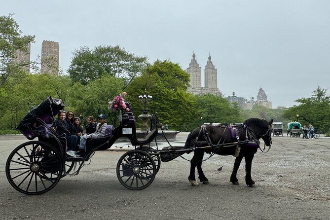 NYC Empire State Horses Carriage Ride in Central Park(55 Mins)