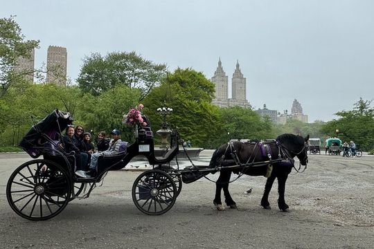 NYC Empire State Horses Carriage Ride in Central Park(55 Min)