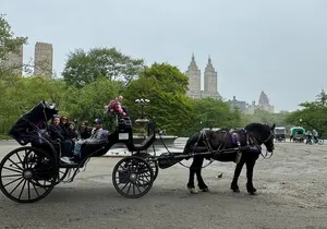 NYC Empire State Horses Carriage Ride in Central Park(55 Min)