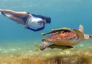 Tulum Ruins & Snorkeling with Sea Turtles Private Tour