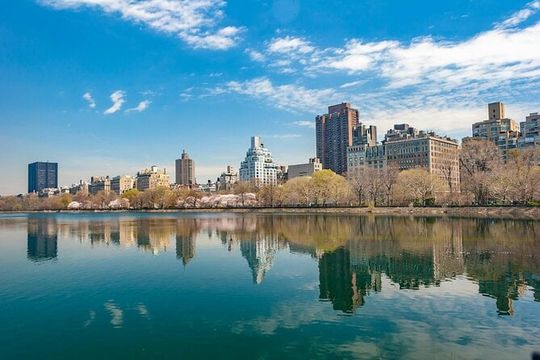 Private Guided Walking Tour of Midtown Manhattan and Central Park