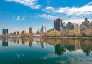 Private Guided Walking Tour of Midtown Manhattan and Central Park