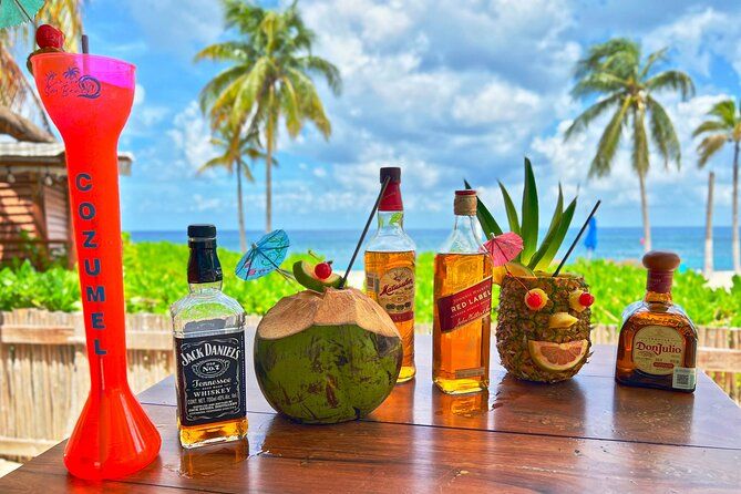 Chankanaab Cozumel Open Bar with Beach Access, Lunch & Snorkel