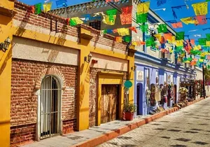 La Paz and Todos Santos Day Trip with Lunch