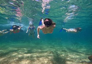 Private Arch and Snorkeling Tour in Cabo San Lucas with Photos