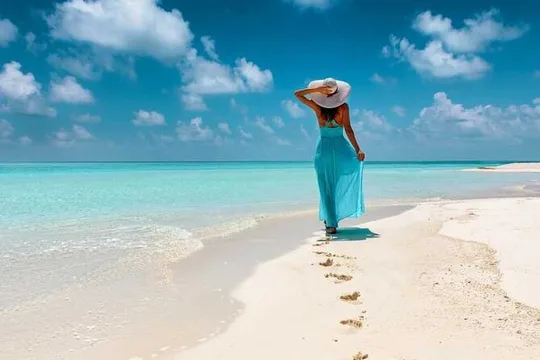 Saona Island Premium Tour with Catamaran Gourmet Lunch & Open Bar