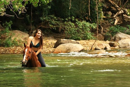 Horseback Riding Tour