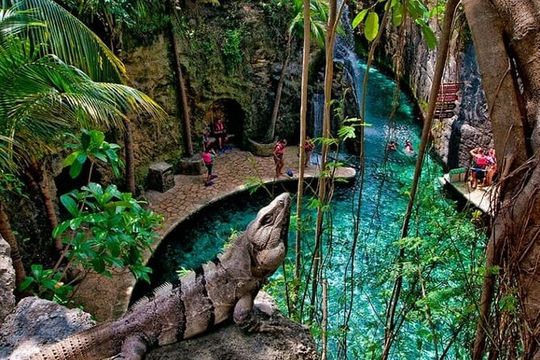 Xcaret Park, Buffet & Night Show! Roundtrip from Cancun