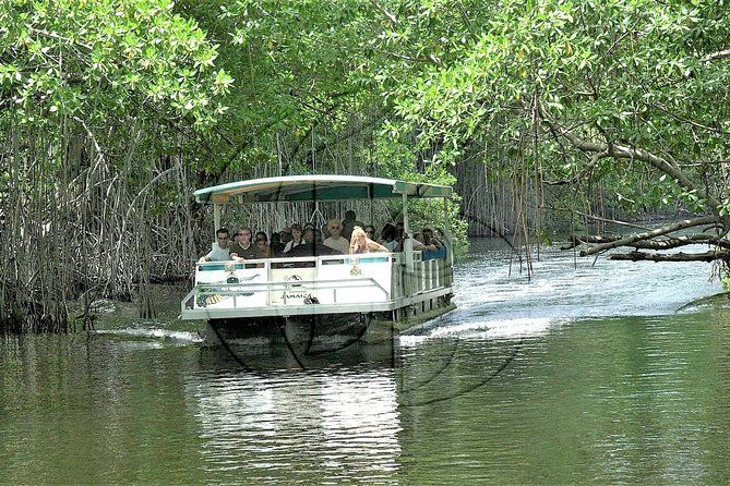 YS Falls plus Black River Safari Guided Tour w/Lunch & Admission from Falmouth