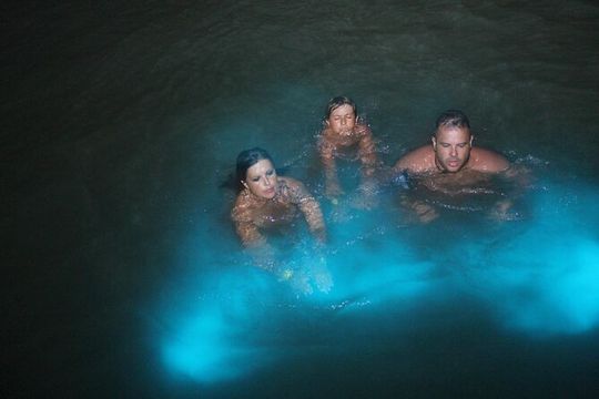 Falmouth Mystic Luminous Lagoon Night Tour From Montego Bay