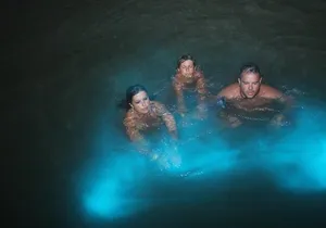 Falmouth Mystic Luminous Lagoon Night Tour From Montego Bay