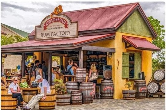 Ys Falls and Appleton Estate Factory Tour with private transportation