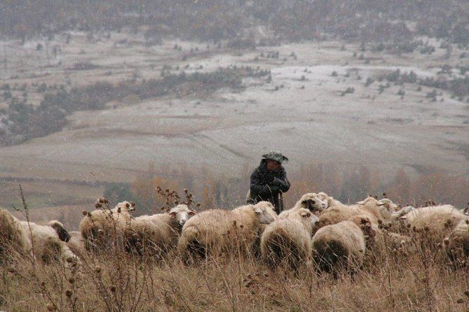 Private Tour to Kazbegi from Tbilisi