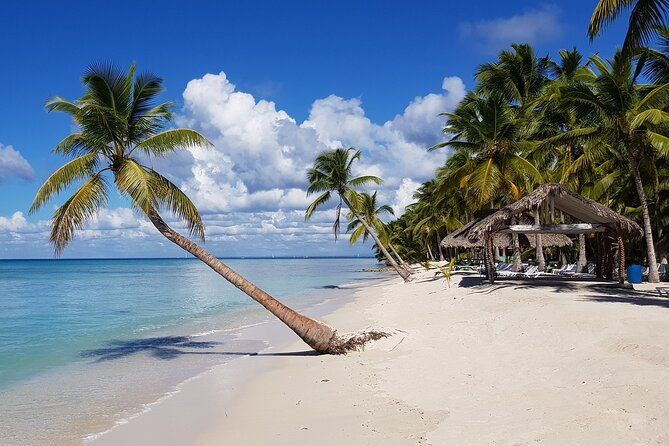 Full-Day Tour of Saona Island from Punta Cana