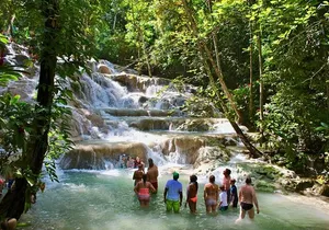 Private Dunn's River Falls Adventure from Montego Bay