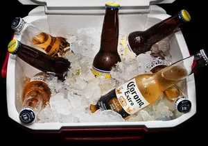 Private VAN Round-Trip from Airport to Cabo San Lucas Pacific