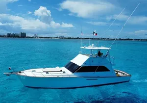Private Full Day Tour by Yatch in Cancún