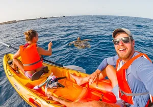 Kayaking and Snorkeling Adventure in Tenerife - Small Groups