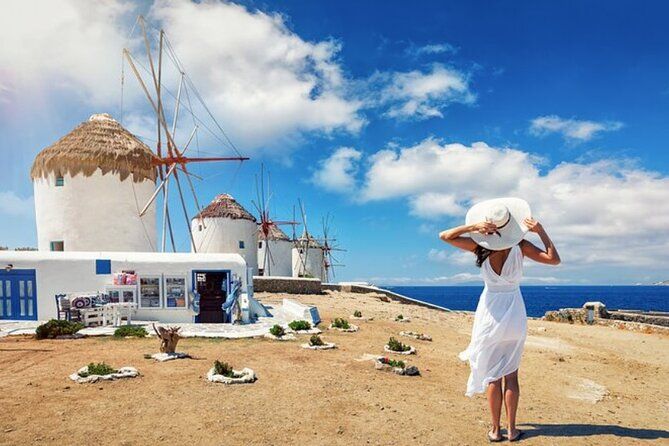Mykonos Cruise-Friendly Tour from Cruise Port