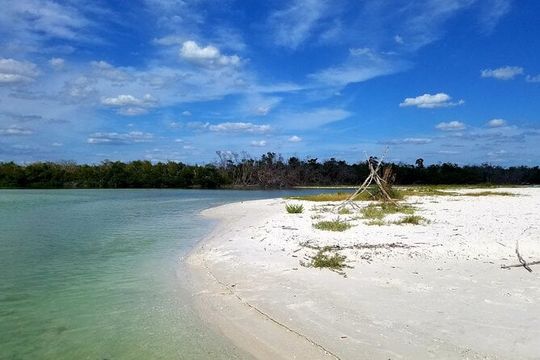 Private Half-Day Charter Tour in Naples, Florida