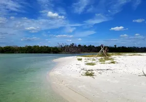 Private Half-Day Charter Tour in Naples, Florida