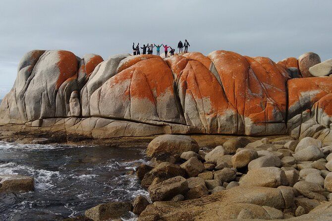 7-Day Super Value Tour of Tasmania: Explore Tasmania's West and East Coasts