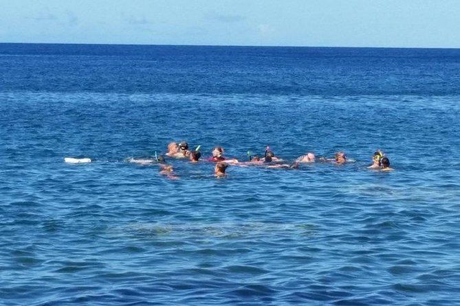 Captain's Most Popular Snorkeling and Beach Day with Lunch