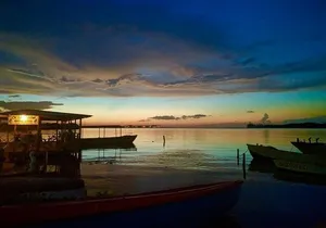 Luminous Lagoon Night Experience From Montego Bay