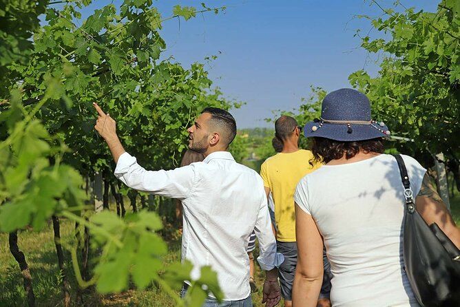 Farm animals and biodynamic wine tasting in Lazise