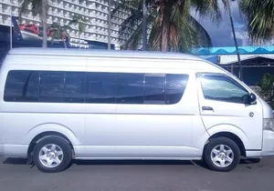 Couples Negril Private Airport Transfers