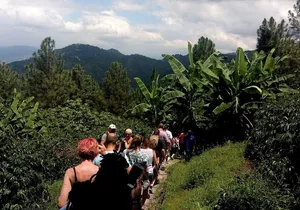 Craighton Blue Mountain Coffee Tasting & Farm Tour from Port Royal Cruise Port