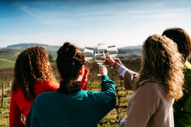 Port : Douro Valley Tour with 2 Wineries, Lunch and Cruise